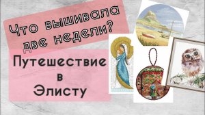 173. Продвижения за две недели | Путешествие в Элисту | Вышивка крестом