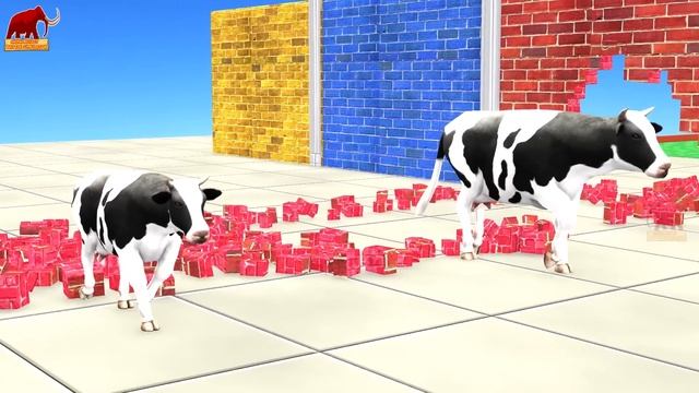 Choose the Right Mystery Wall with Cow Elephant Buffalo Gorilla Wild Animals Total Wipeout Challeng