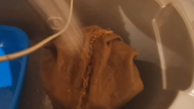 Как повысить яйценоскость кур зимой: проращиваем пшеницу. "Мое Подворье"