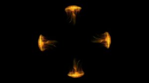 Видео для голограммы