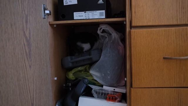 Багира Получила за ШЕФСТВО "Архив" Видео с юмором. смотреть онлайн