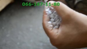 Петарда " чеснок белый"