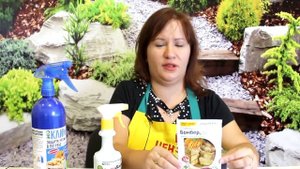 ПОГРЕБ: ОБРАБОТКА И ПОДГОТОВКА К ХРАНЕНИЮ УРОЖАЯ