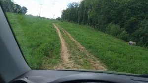 Заезд в крутую горку, Тигуан, 2.0, дизель, 140 л/с