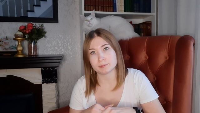 ЖИЗНЬ С МЕЙН-КУНАМИ / ТОП 7 ФАТАЛЬНЫХ ОШИБОК ВЛАДЕЛЬЦЕВ КОШЕК