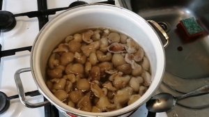 Проверенный рецепт*вкуснейшие маслята