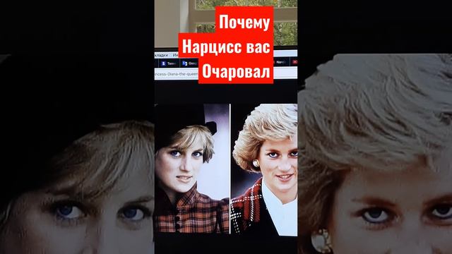 Магия очарования нарциссов и пограничников. в чем секрет?