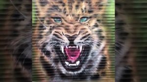 Graffiti mural Spg crew ГРАФФИТИ