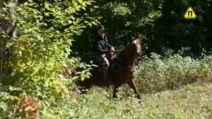 Охотник за головами. Анонс. Канал Приключения.