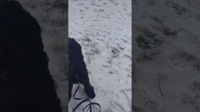 20 ноября 2022 г. смотреть онлайн