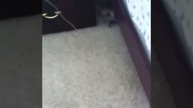 Пойдем мытся! смотреть онлайн