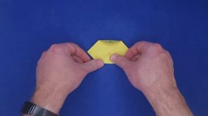Оригами Водяная лилия / Origami Water Lily