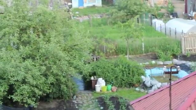 Мы читали с тобой сказки Гаршина... Летним вечером на балконе, окунаясь в далёкое детство. смотреть онлайн