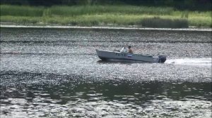 Три белых лилии.  Александр Айвазов.