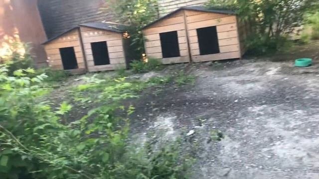 Будки для бездомных собак