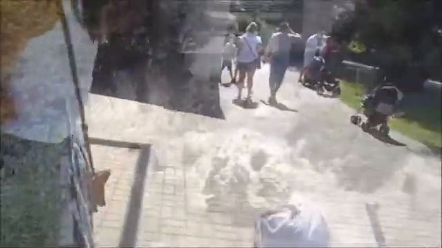 Zaliczylismy ZOO w 2017 roku We completed the ZOO in 2017 Заличили мы зоопарк в 2017 году. смотреть онлайн