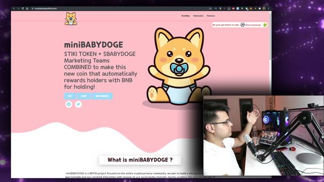 Mini Baby Doge Token miniBABYDOGE 🚨 NEXT GEM?? *I BOUGHT IN* смотреть онлайн