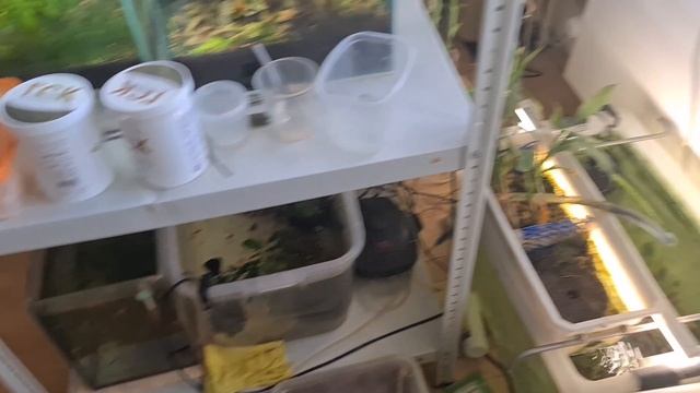 Поставил баллон с Со2 смотреть онлайн