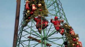 Главную новогоднюю ель установили на площади Ленина в Новосибирске