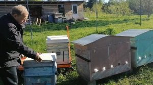 Улей Дадан отзыв - Часть 3. Продолжаю ругаться.