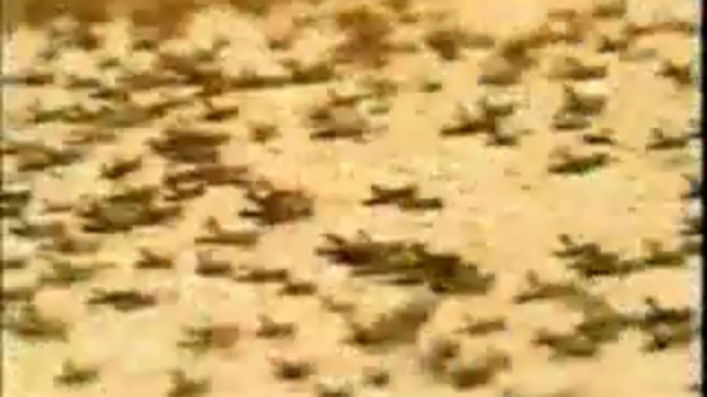 Доказательства Божественного творения мира  смотреть онлайн