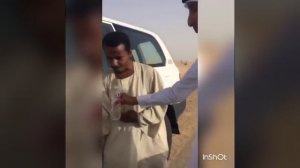 Вот идет караван