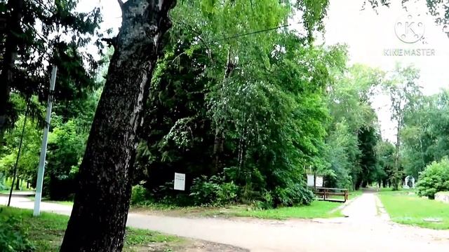 Борис Пастернак  Стихи #Весна #поэзиядлядуши