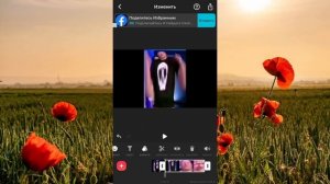 как приближать кадр в InShot?