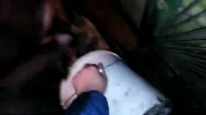 Свиньи как бизнес идея/ Дрожжи в рационе