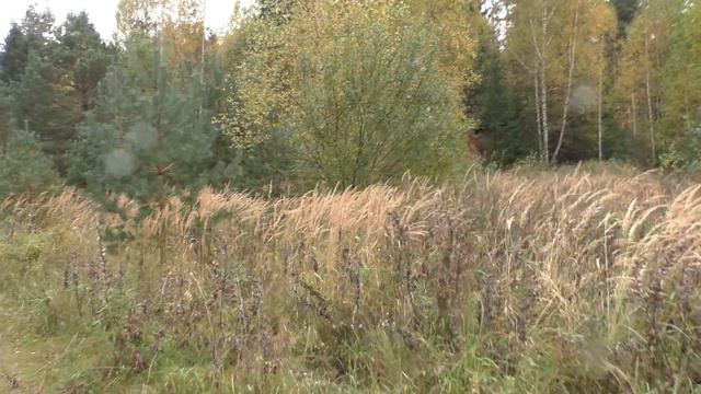 Поставы. Костяни. Бывший 1-й дивизион 346-го РП РВСН. Часть 4 смотреть онлайн