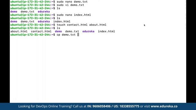 Linux commands for DevOps |  Linux for DevOps | Edureka | DevOps  Rewind - 4