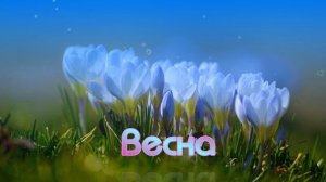 Футаж. Весна 21
