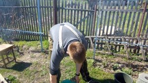 ВОСКОТОПКА НЕ НУЖНА перетопка воска в домашних условиях