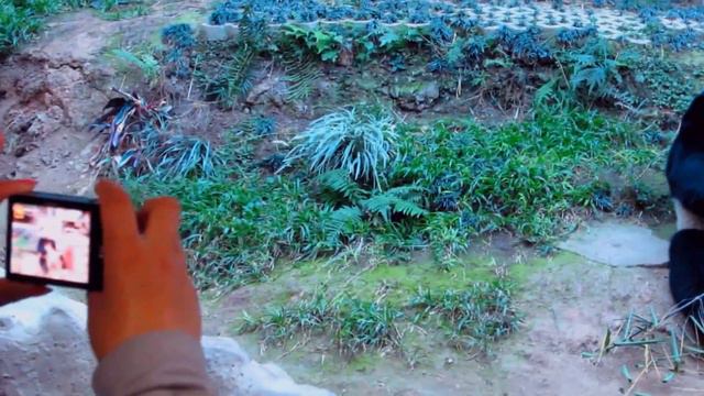 Marko's Mongol song (Монгол дуу) - 7 - Green field (Наран мандах нутаг) смотреть онлайн