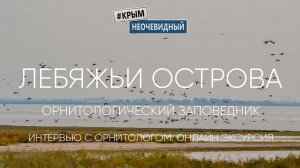 #КрымНеОчевидный: Лебяжьи острова. Часть 2. Экскурсия по заповеднику. Интервью орнитолога.