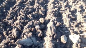 Плуг с перьевым отвалом! Небольшая поломка))