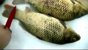 Лайфхак: Как быстро почистить рыбу!