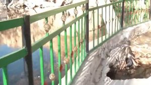 Tajikistan Чилу Чор чашма, шахритуз