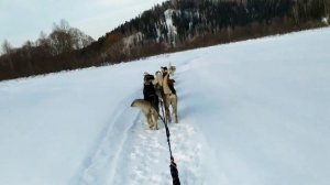 В поход на собачьей упряжке до Кумзасс - Усинский. Ночую в нарте на улице. Горная Шория.