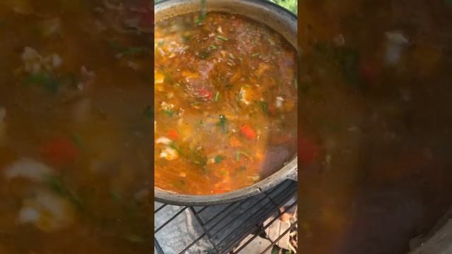 Сварили вкусный харчо в казане на мангале ??? смотреть онлайн