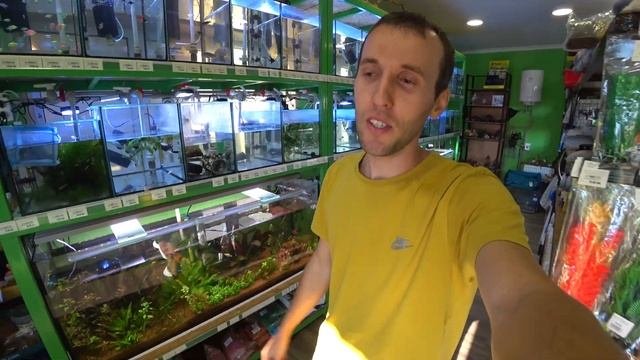 Обезьяна, бассейн и много другое! Максимальный обзор моего частного дома