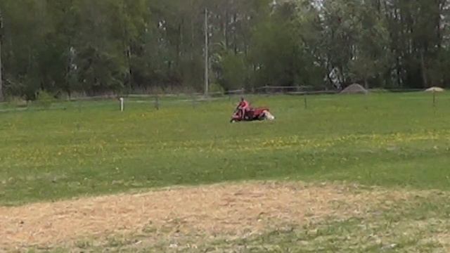 Злата - собака-компаньон. Полгода вместе 🧡🧡 смотреть онлайн