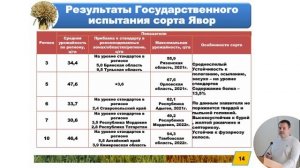 Новый адаптационный потенциал тритикале