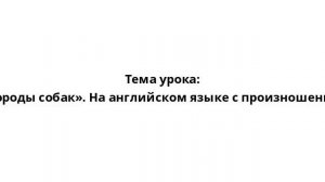 Тема урока: «Породы собак». На английском языке с произношением