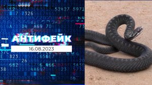 АнтиФейк. Выпуск от 16.08.2023