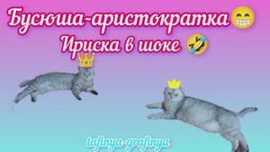 Видео 62. 😻 Бусюша - Аристократка 😂
Ест только из ложечки 🤦