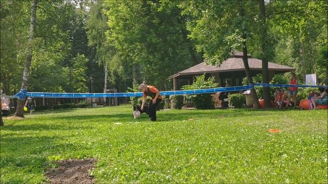 #собакивгороде2019 Лена и Мышь.mp4
