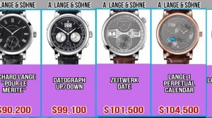 A Lange & Söhne Watch Brand [Cheap to Expensive] | Trooper Comparison