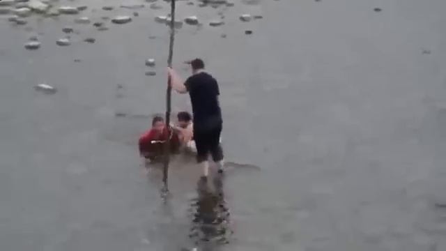 Ловля сазана видео смотреть онлайн