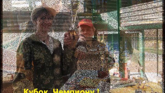 Чемпионат НКП Вельш Терьер. 2014 смотреть онлайн